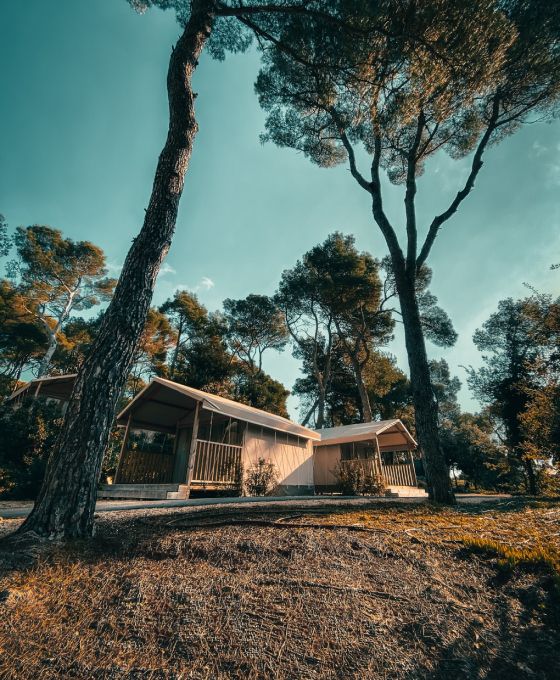 Do you like accommodation in untouched nature not far from the most beautiful destinations in the Mediterranean, again close to cities and intertwined with a rich offer of content? Take a look at our offer of mobile homes and spend an unforgettable holiday.